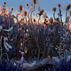 Image for article titled Fantastic Concept Art from the Pixar Film That Never Happened, Newt